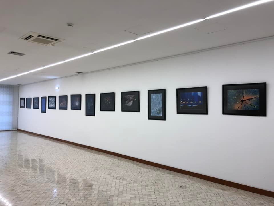 Casa da Junta de São João de Ovar recebe exposição de fotografia de Natureza dos Amigos do Cáster