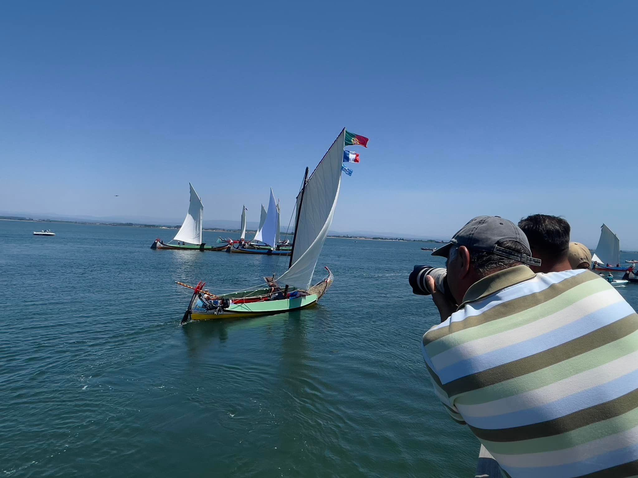 Regata de Moliceiros dominada por um estreante