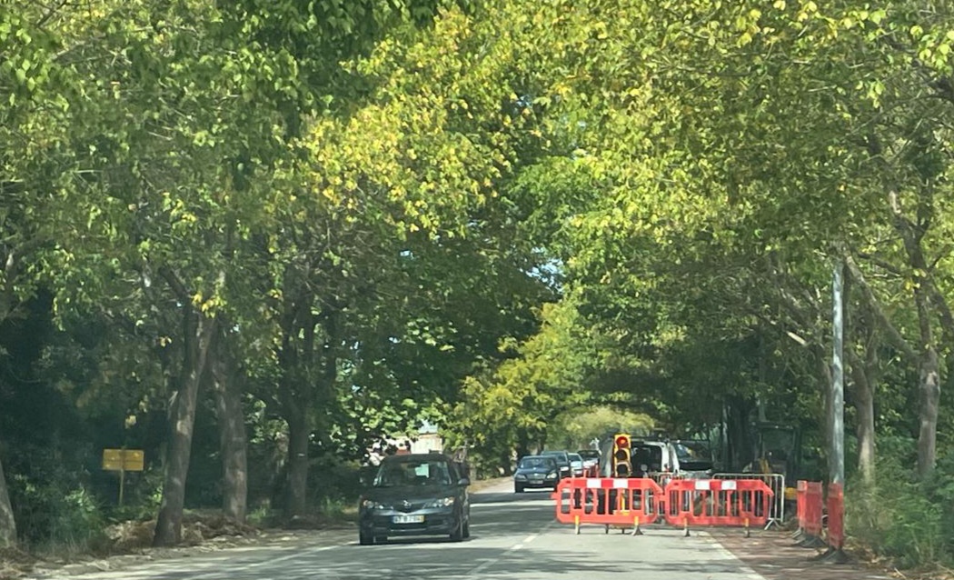 Circulação alternada na Avenida D. Maria II