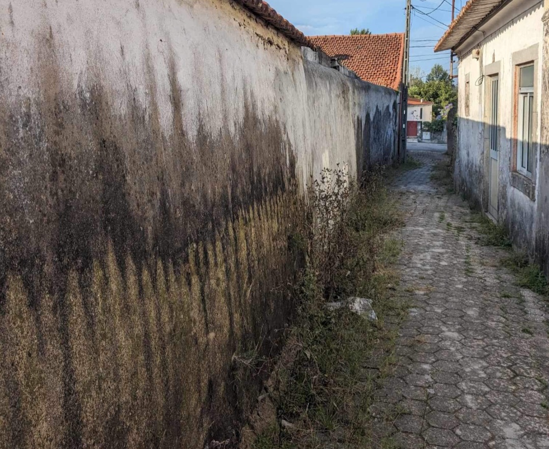 Educação ambiental vs herbicidas - Por Rafaela Santos