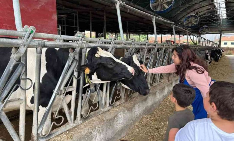 Válega: Qualileite mostra o que está para lá das prateleiras dos supermercados