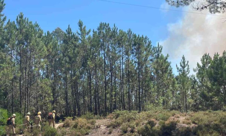 Meios aéreos combatem fogo florestal em Ovar