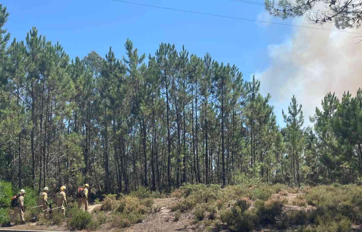 Meios aéreos combatem fogo em Ovar