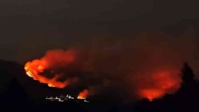 Bombeiro morre no incêndio de Oliveira de Azeméis