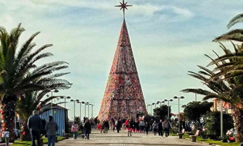 Maior Árvore de Natal do Mundo em lã ilumina Cortegaça