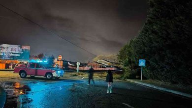 Queda de árvore cortou a luz em vários pontos da cidade